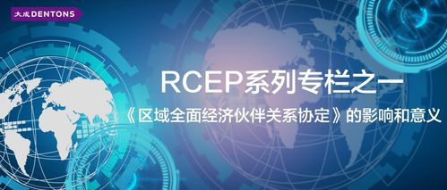 區(qū)域全面經(jīng)濟(jì)伙伴關(guān)系協(xié)定（RCEP）的影響與意義——聚焦數(shù)字技術(shù)服務(wù)